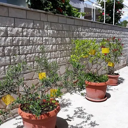 Anci Apartment