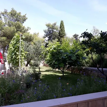 Apartment Anci